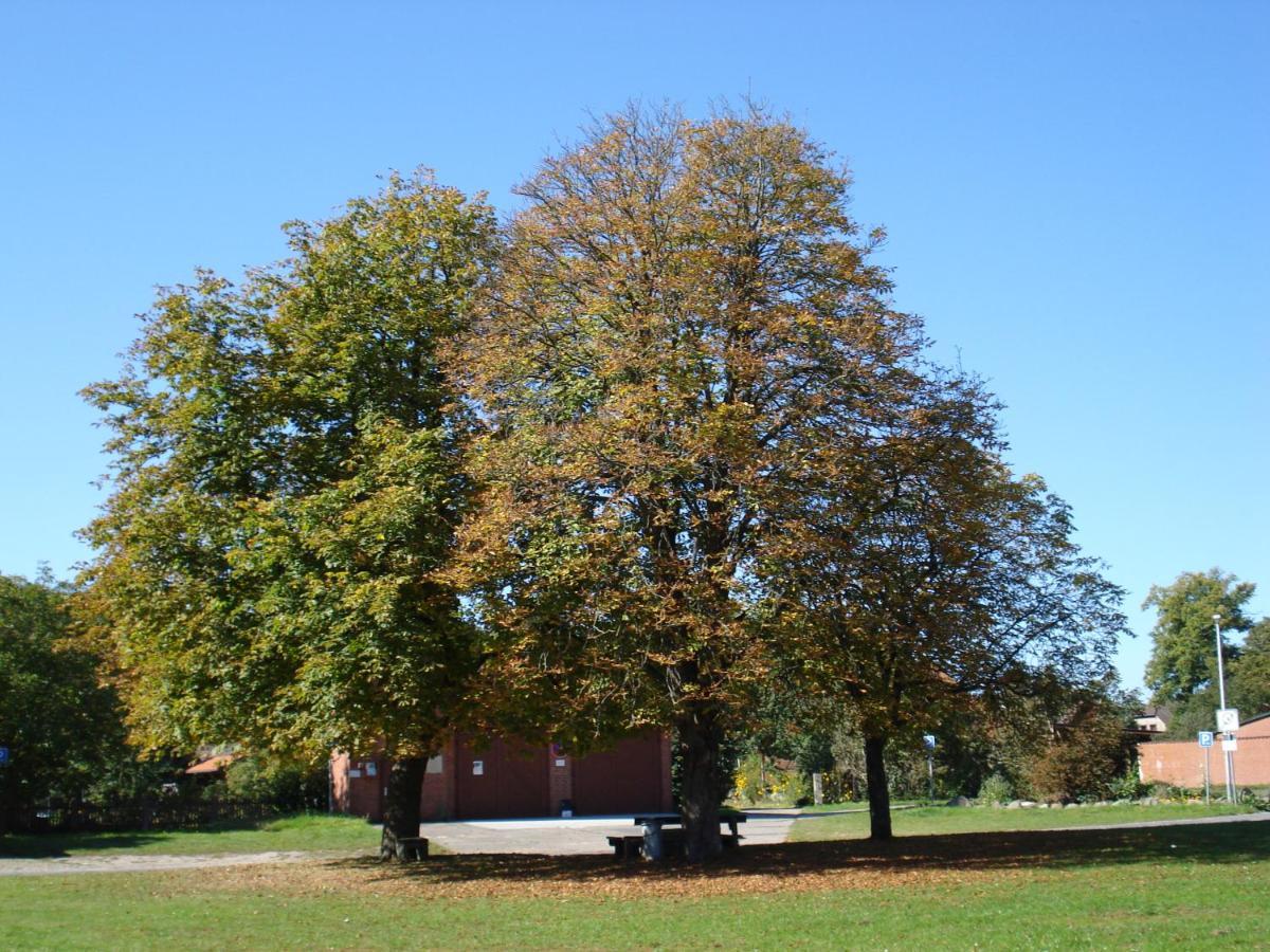 De Luet Ferienhof Jameln Exterior photo
